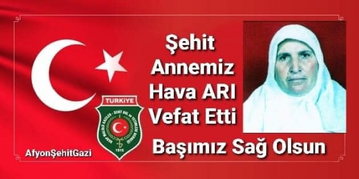 ŞEHİT ANNEMİZ HAVA ARI VEFAT ETTİ.                  