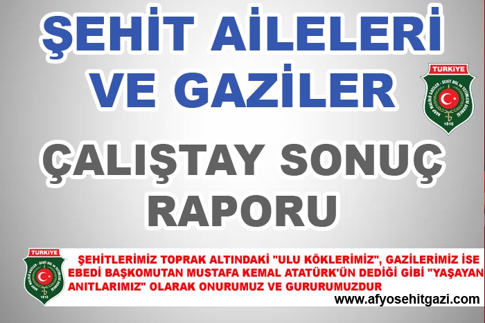 ŞEHİT AİLELERİ VE GAZİLER ÇALIŞTAYI SONUÇ RAPORU                  