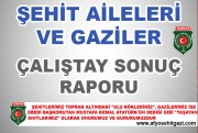 ŞEHİT AİLELERİ VE GAZİLER ÇALIŞTAYI SONUÇ RAPORU